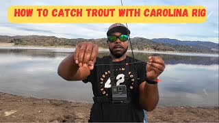 Lake Irvine Trout Fishing  How to setup a Carolina Rig for trout [upl. by Sublett271]