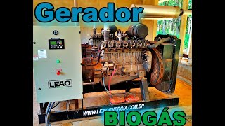 Gerador a biogás [upl. by Cis731]