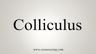 How To Say Colliculus [upl. by Gwenora]