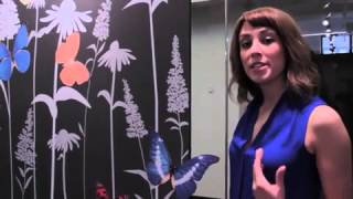 Visual Magnetics Pop Up Showroom Video [upl. by Demaggio]