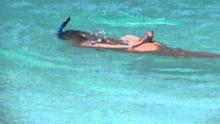 Snorkeling Anguilla Shoal Bay [upl. by Yenaled]