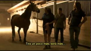 El Domador De Caballos · Jack Forest Holy y Mr Mum [upl. by Pattison598]