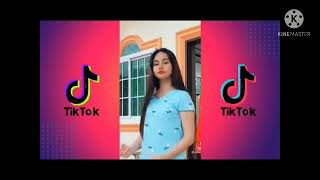 Pamparampampam TikTok Viral TikTok Trending 2021 [upl. by Ybot]