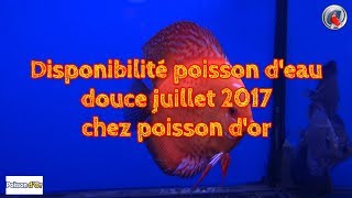 Disponibilité poisson deau douce juillet 2017 chez poisson dor [upl. by Flaherty]