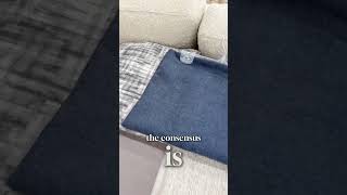 Discover your perfect fabric color with our designers 🌈🛋️ edmontonliving homedecorfurniture [upl. by Sapphera11]