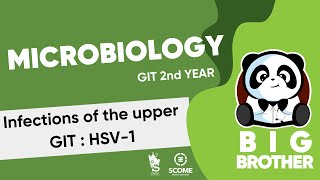 Infections of the upper GIT HSV1 [upl. by Obie]