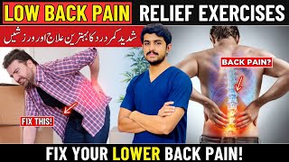 7 Simple Lower Back Pain Relief Exercises Stretches At Home [upl. by Ciredec]