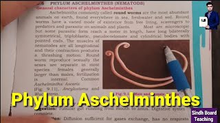 Phylum Aschelminthes XI Biology [upl. by Kimberley]