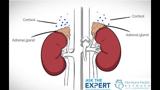 Ask The Expert Truth About Adrenal Fatigue [upl. by Anemolif380]