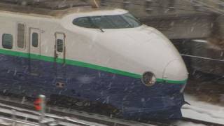 上越新幹線 雪の上毛高原駅にて Johetsu Shinkansen at JoumouKougen [upl. by Solracsiul]