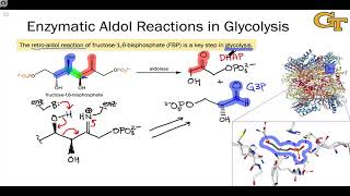 Aldolase Enzymes and the Nitroaldol Reaction [upl. by Docila379]