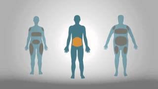 UK Biobank Imaging Study  heart and abdomen [upl. by Margherita]