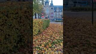 Sweden nordiska museum shortvideo likeandsubscribe 🍁🍂 [upl. by Hannavas]