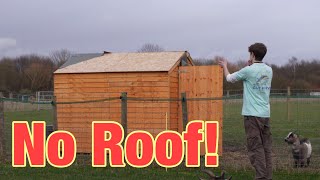 My Goat shed is ROOFLESS [upl. by Caia]