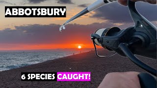 Chesil Beach is on FIRE Summertime session lands 6 species [upl. by Deevan]