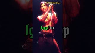 Iggy Pop The Godfather Of Punk Rock shorts music biography [upl. by Edgar]