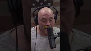 Did you know about the Bondo Ape 🦍 joerogan podcast chimpanzee animals [upl. by Eseilanna]