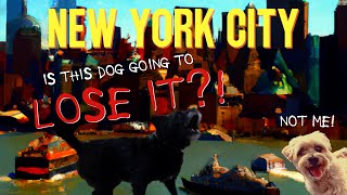 This Dogs First Trip to New York Can He Handle It [upl. by Sharp911]