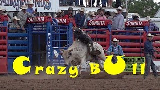 Bull Riding Super Slow Motion [upl. by Sandor]