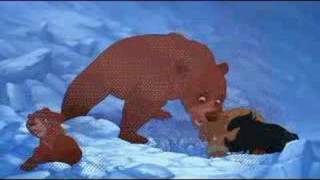 Brother bear 2 music video [upl. by Simonne]