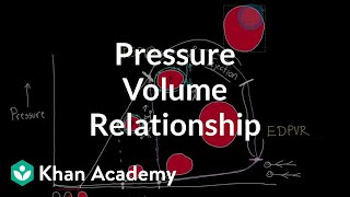 Reimagine the pressure volume relationship  Circulatory system physiology  NCLEXRN  Khan Academy [upl. by Enyedy]