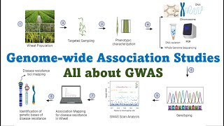 Genome wide association studies All about GWAS Technique in Molecular Plant Breeding [upl. by Nej544]