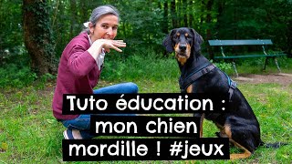 Tuto éducation  mon chien mordille  jeux [upl. by Anelyak]