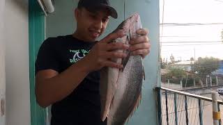 Zarandeado con el muñeco viralvideo fishfishing [upl. by Wendi568]