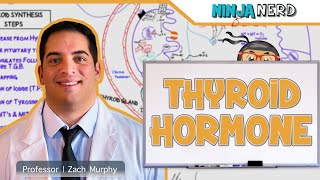 Endocrinology  Synthesis of Thyroid Hormone [upl. by Selwin201]