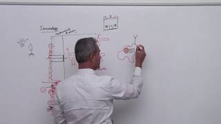 Immunology Lecture 1 Part 3 [upl. by Armat]