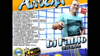 CD ARROCHA VOL04  2015  DJ FABIO CEBOLINHA DA 99 FM [upl. by Latsryc]