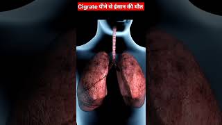 How Smoking Kill Your Lungs।। 3d Animation shorts 3danimation [upl. by Anawik]