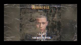 La Santa Grifa  Amnesia Instrumental [upl. by Ainessej]