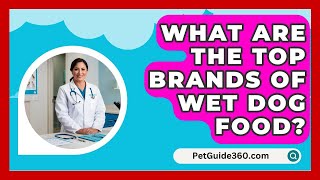 What Are the Top Brands of Wet Dog Food  PetGuide360com [upl. by Fernandes]