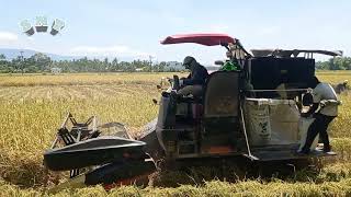 The Farming technology vehicles Combine Harvester Tractors [upl. by Isla]