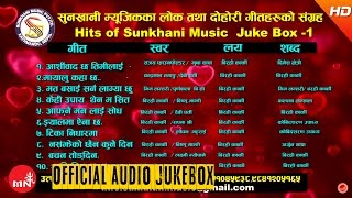 Nepali Hit Lok Dohori Collection  Birahi Karki  Juke box [upl. by Llennoc]