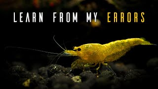 6 Common Shrimp Keeping Mistakes You Can AVOID [upl. by Lissa]