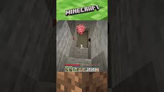 minecraft when silverfish scare the crap out of you [upl. by Amir170]