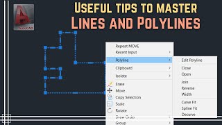 Autocad  Lines and Polylines Useful tips to master them [upl. by Meilen]