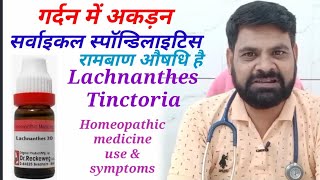 Lachnanthes Tinctoria 30 Uses in Hindi  Lachnanthes 30 Lachnanthes 200 Lachnanthes Uses in Hindi [upl. by Fulton370]