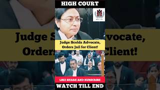 Judge Scolds Advocate Orders Jail for Client judge advocate highcourt shortvideo [upl. by Nylarac190]