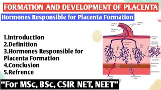 Formation and development of placenta  Hormones Responsible for Placenta Formation [upl. by Oeramed767]