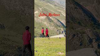 Beautiful Distention  Jabri Medows  Baboon Valley  Neleum kashmirbeauty neelamvalleykashmir [upl. by Enniroc558]