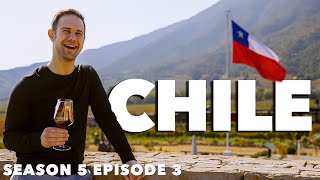 Wine Tour In Chile Adventure In The Worlds Longest Country [upl. by Teferi]