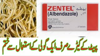 Zentel tablets  Albendazole  400mg  uses side effects and contraindications in urdu and Hindi [upl. by Ayek515]