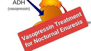 Drug Treatment for Nocturnal Enuresis Vasopressin [upl. by Clarita]