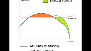 El consumo de óxigeno en los deportes de resistencia [upl. by Gustie]