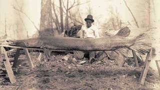 Alligator Gar released in Kentucky [upl. by Otanutrof]