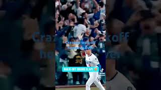 Walk off homerun Freddie freeman [upl. by Francois389]