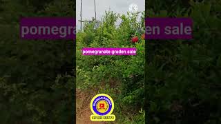 75 Acres agricultural land sale  5 borewells Andhra Pradesh madanapalli  Acre 16 lakhs [upl. by Treve]